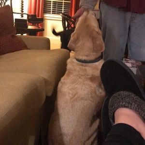 Meet your Posher, Sharon